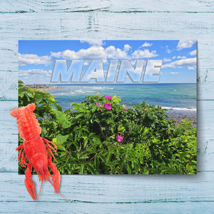 Maine Postkarte
