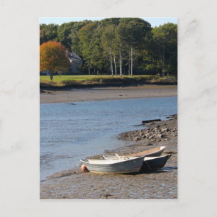 Maine Rowboats Water Foto Postkarte