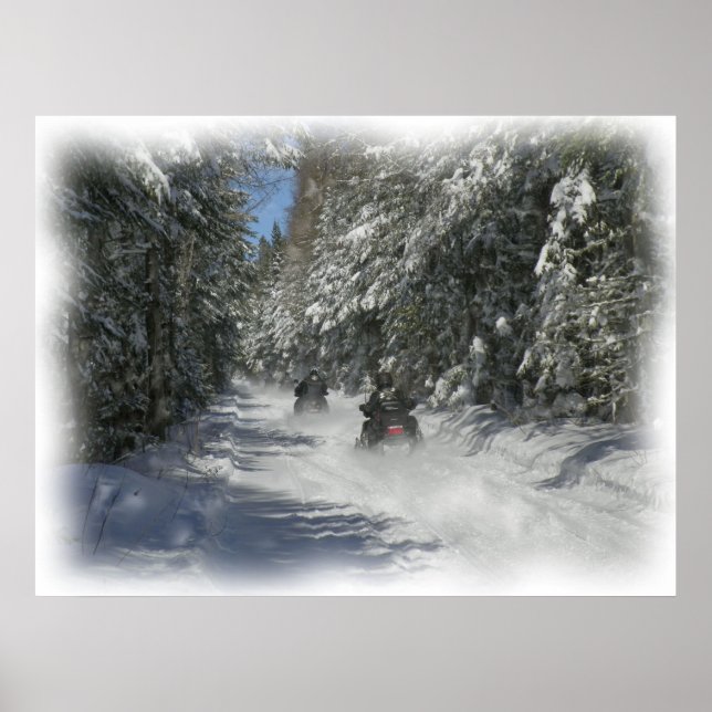 Maine Trail Poster (Vorne)