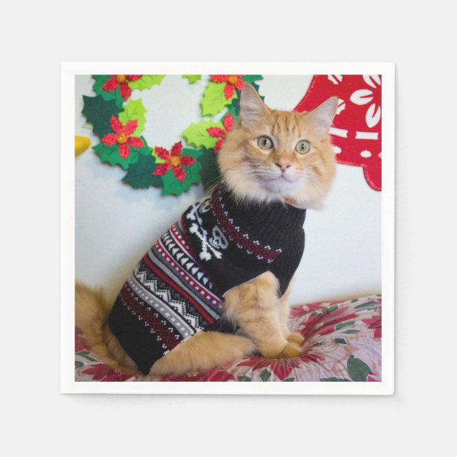 Maine Typ I Serviette (Vorderseite)