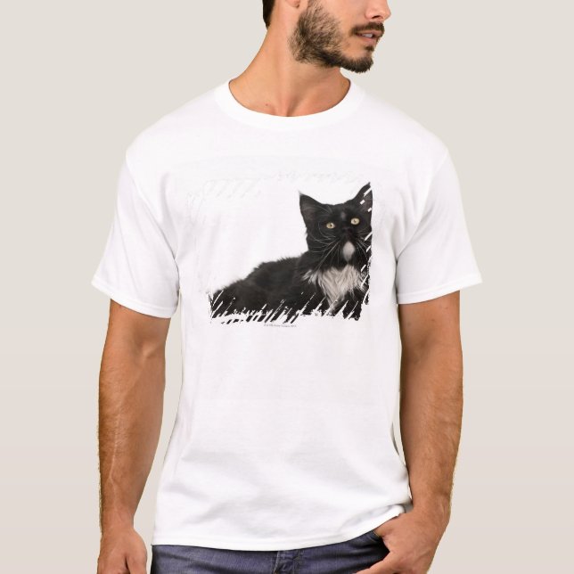 Maine-Waschbär (15 Monate alte) T-Shirt (Vorderseite)