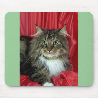 Maine-Waschbär, brauner Tabby und Weiß Mousepad