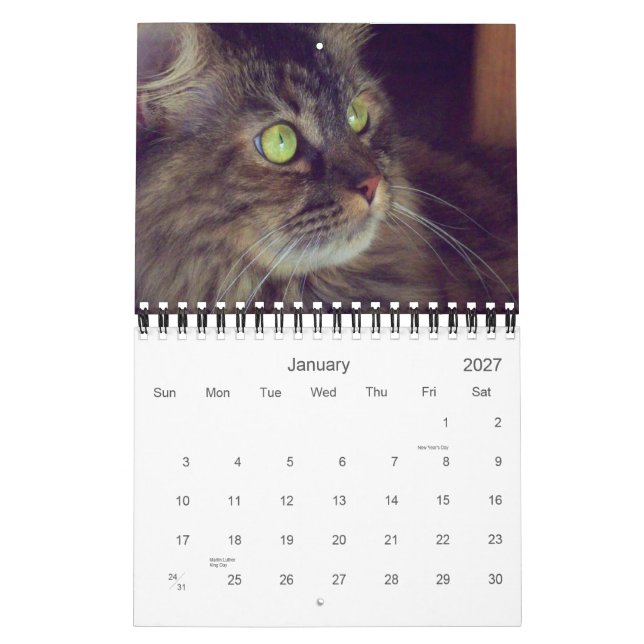 Maine-Waschbär-Kalender 2010 Kalender (Jan 2027)