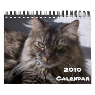 Maine-Waschbär-Kalender 2010 Kalender