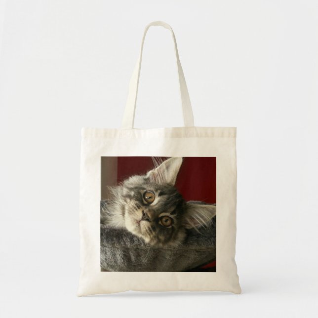 Maine-Waschbär-Kätzchen-Tasche Tragetasche (Vorne)