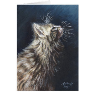 Maine-Waschbär-Katzen-"Engels-helle"