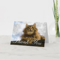 Maine-Waschbär-Katzen-Impressionist-Kunst danken