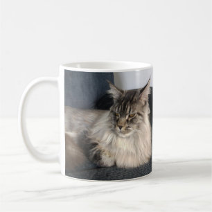 Maine-Waschbär-Katzen-Tasse Kaffeetasse