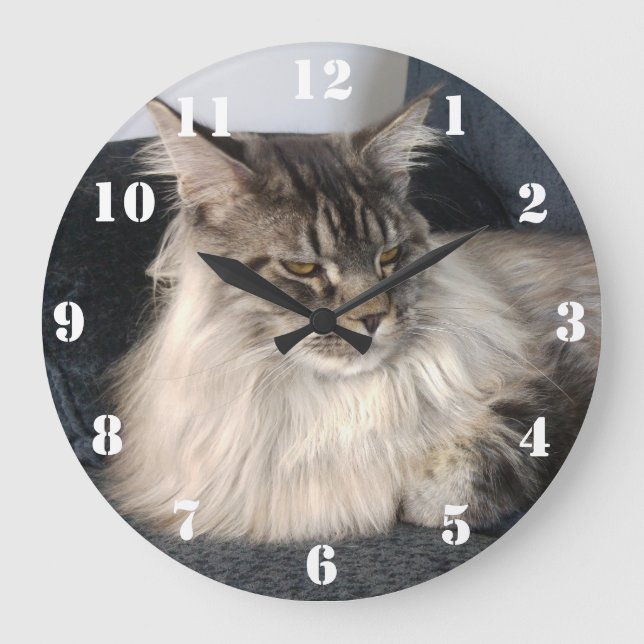 Maine-Waschbär-Katzen-Uhr Große Wanduhr (Vorderseite)