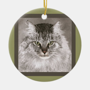 Maine-Waschbär-Katzen-Verzierung - "MERLIN " Keramik Ornament