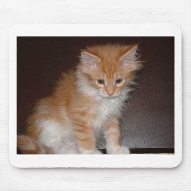 Maine-Waschbär kitten.png Mousepad (Vorne)