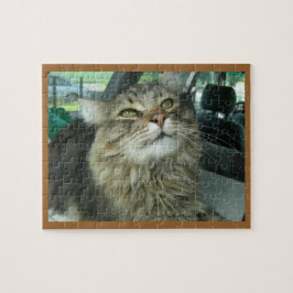 Maine-Waschbär-Miezekatze Puzzle
