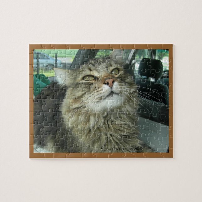 Maine-Waschbär-Miezekatze Puzzle (Horizontal)