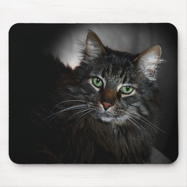 Maine-Waschbär Mousepad (Vorne)