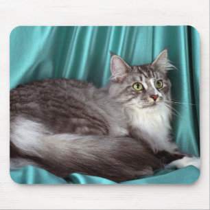 Maine-Waschbär, silberner Tabby Mousepad