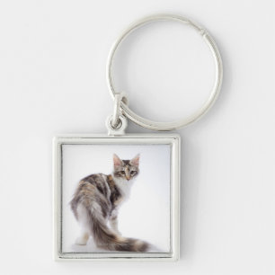 Maine-Waschbärkatze Schlüsselanhänger