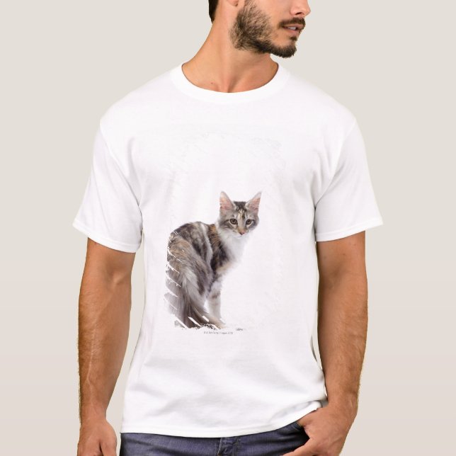 Maine-Waschbärkatze T-Shirt (Vorderseite)