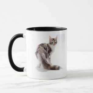 Maine-Waschbärkatze Tasse