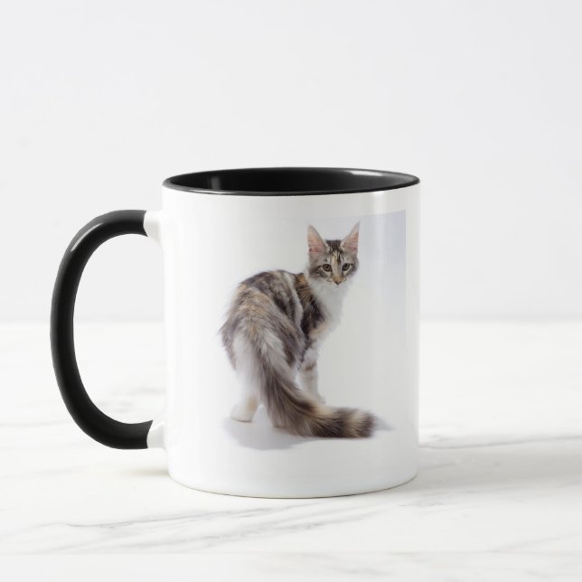 Maine-Waschbärkatze Tasse (Links)