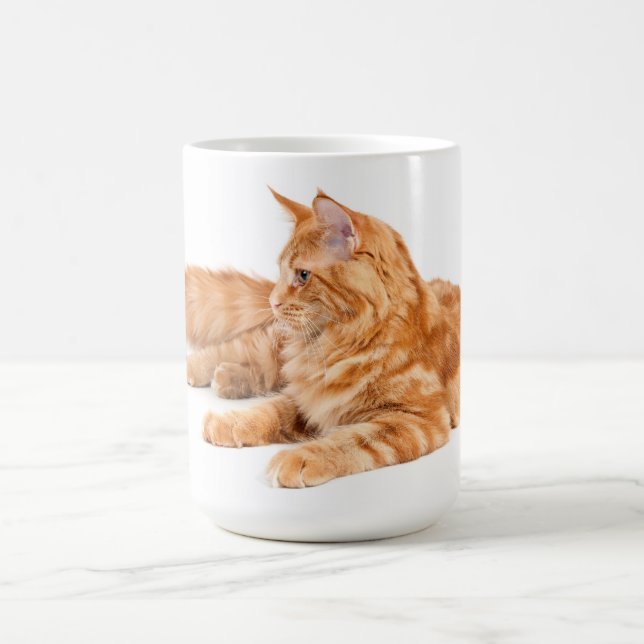 Maine-Waschbärkatze Tasse (Mittel)