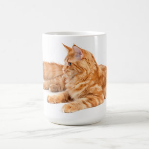 Maine-Waschbärkatze Tasse