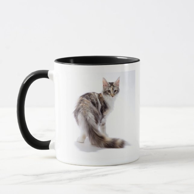 Maine-Waschbärkatze Tasse (Links)