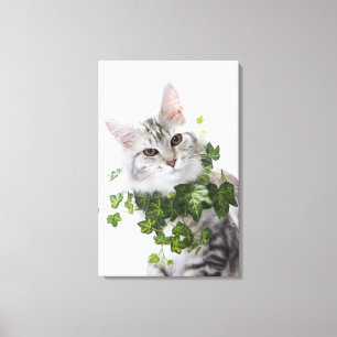 Maine-Waschbärkatze und Verzierung des Efeus Leinwanddruck