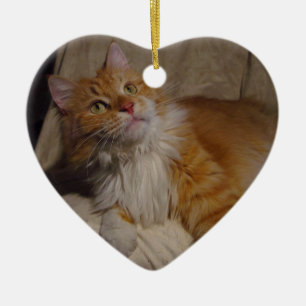 Maine-Waschbärkatze Verzierung Keramik Ornament