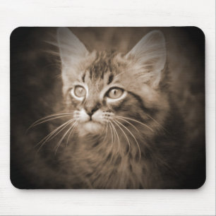 Maine-WaschbärSepia #1 Mousepad