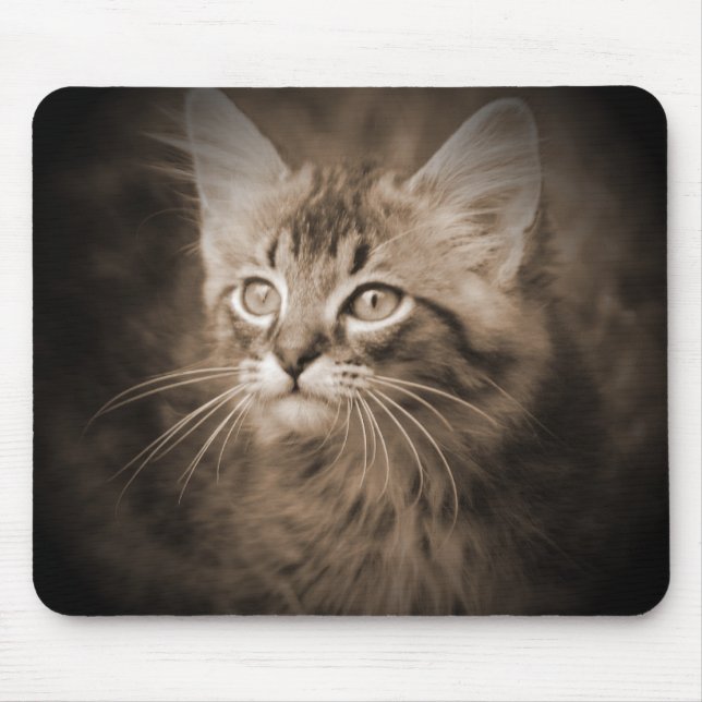 Maine-WaschbärSepia #1 Mousepad (Vorne)