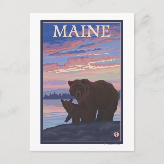MaineBear und Cub Postkarte (Vorderseite)