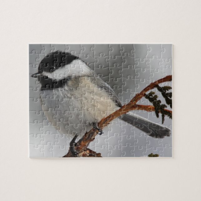 MaineChickadee Puzzle (Horizontal)