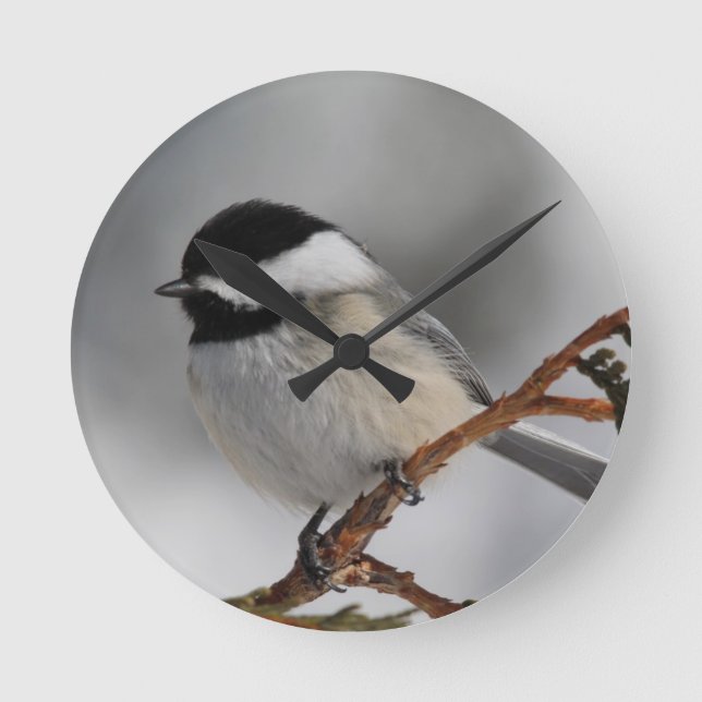 MaineChickadee Runde Wanduhr (Vorderseite)