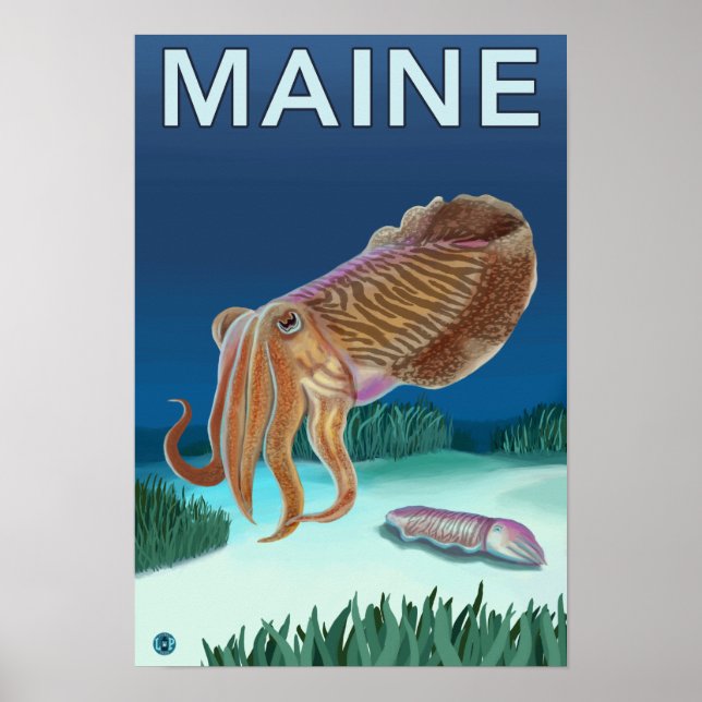 MaineCuttlefish Szene Poster (Vorne)
