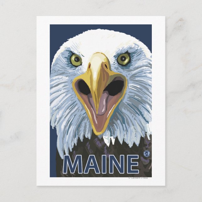 MaineEagle Up Nah Postkarte (Vorderseite)