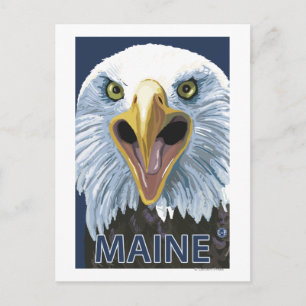 MaineEagle Up Nah Postkarte