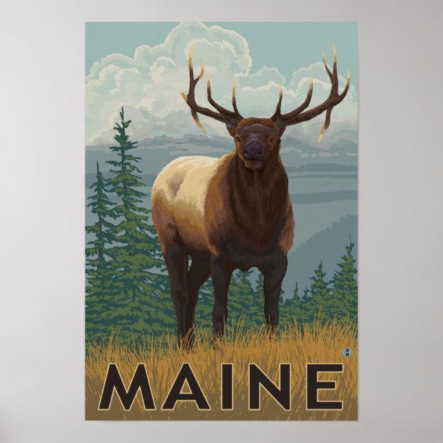 MaineElk-Szene Poster (Vorne)