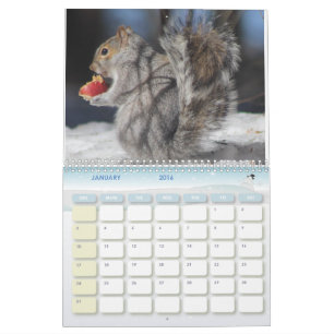 MaineFoto-Kalender 2016 Kalender