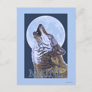 MaineHowling Wolf Postkarte