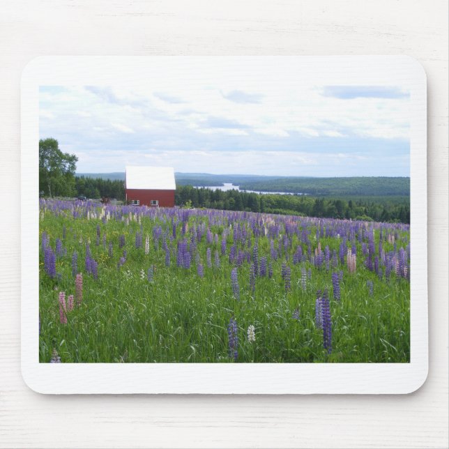 Mainelupines-Feld Stockholm, ICH Mousepad (Vorne)