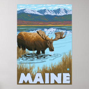 MaineMoose, das im See trinkt Poster