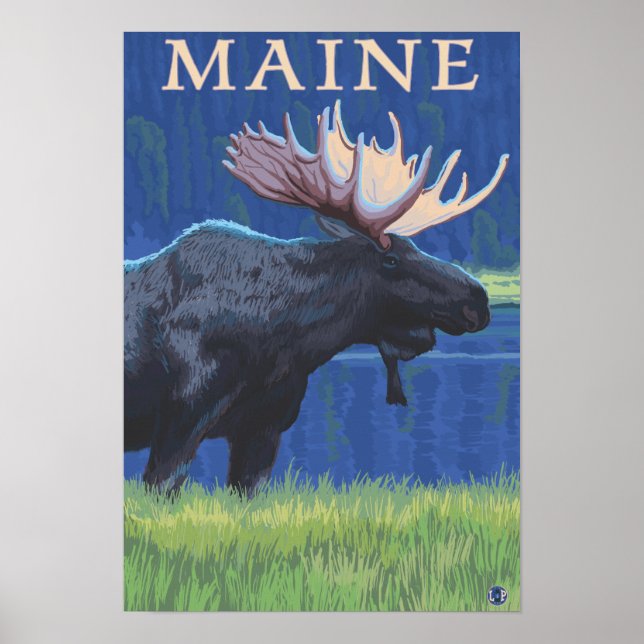 MaineMoose im Mondschein Poster (Vorne)
