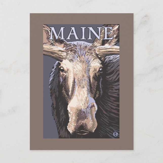 MaineMoose Up Nah Postkarte (Vorderseite)