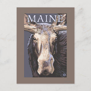 MaineMoose Up Nah Postkarte