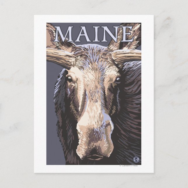 MaineMoose Up Nah Postkarte (Vorderseite)