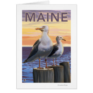 MaineSea Gulls Scene