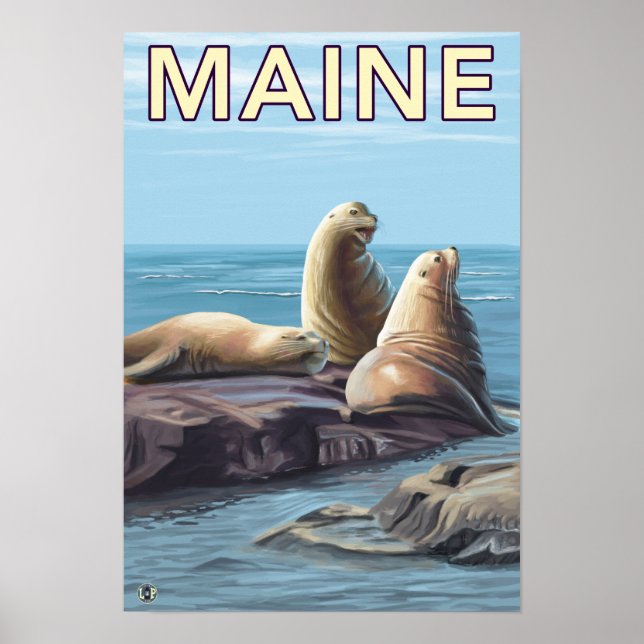 MaineSea Lions Szene Poster (Vorne)