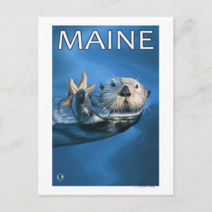 MaineSea Otter Scene Postkarte