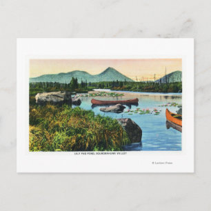 MaineSourdnahunk Valley Lily Pad Pond Pond Scene Postkarte