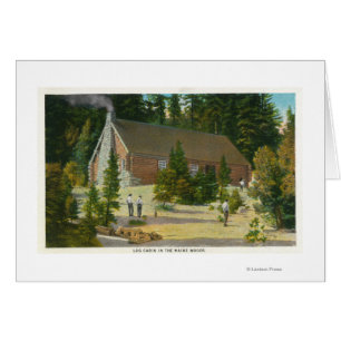 MaineView einer Blockhütte im Maine-Wald